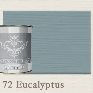 Painting The Past Eggshell Eucalyptus Actieprijs